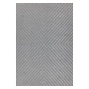 Svetlosivý koberec Asiatic Carpets Antibes, 200 x 290 cm