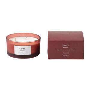 Vonná  sviečka doba horenia 25 h Cozy Nectarine – ILLUME x Bloomingville