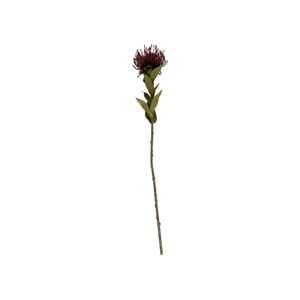 Umelý kvet (výška  60 cm) Protea – PT LIVING