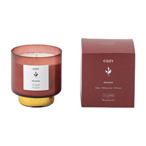 Vonná  sviečka doba horenia 50 h Cozy Nectarine – ILLUME x Bloomingville