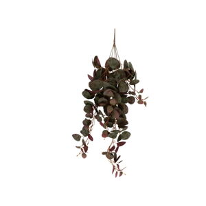 Umelý kvet (výška  79 cm) Ceropegia – PT LIVING