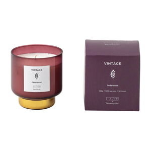Vonná  sviečka doba horenia 50 h Vintage Cedarwood – ILLUME x Bloomingville