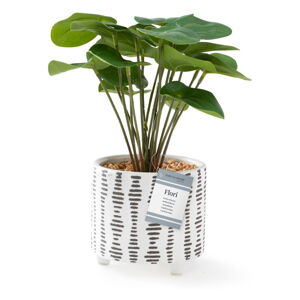 Umelá rastlina (výška 23 cm) Flori Pilea – AmeliaHome