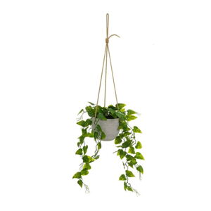 Umelá rastlina (výška  46 cm) – Casa Selección
