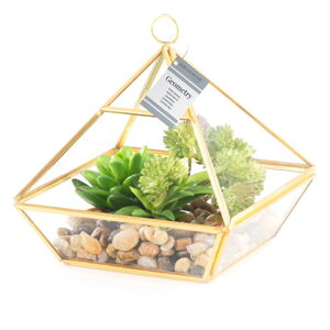 Umelý sukulent (výška 15,5 cm) Geometry – AmeliaHome