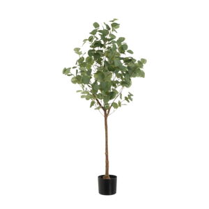 Umelý kvet Eucalyptus – Casa Selección