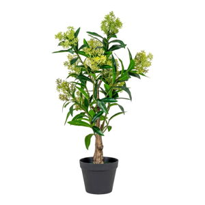 Umelá rastlina Skimmia - House Nordic
