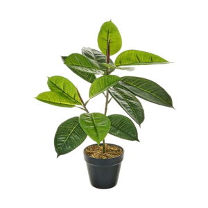 Umelý kvet Ficus – Casa Selección