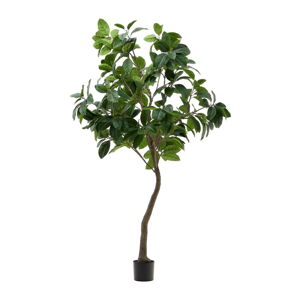 Umelý fikus (výška 210 cm) Ficus – Kave Home
